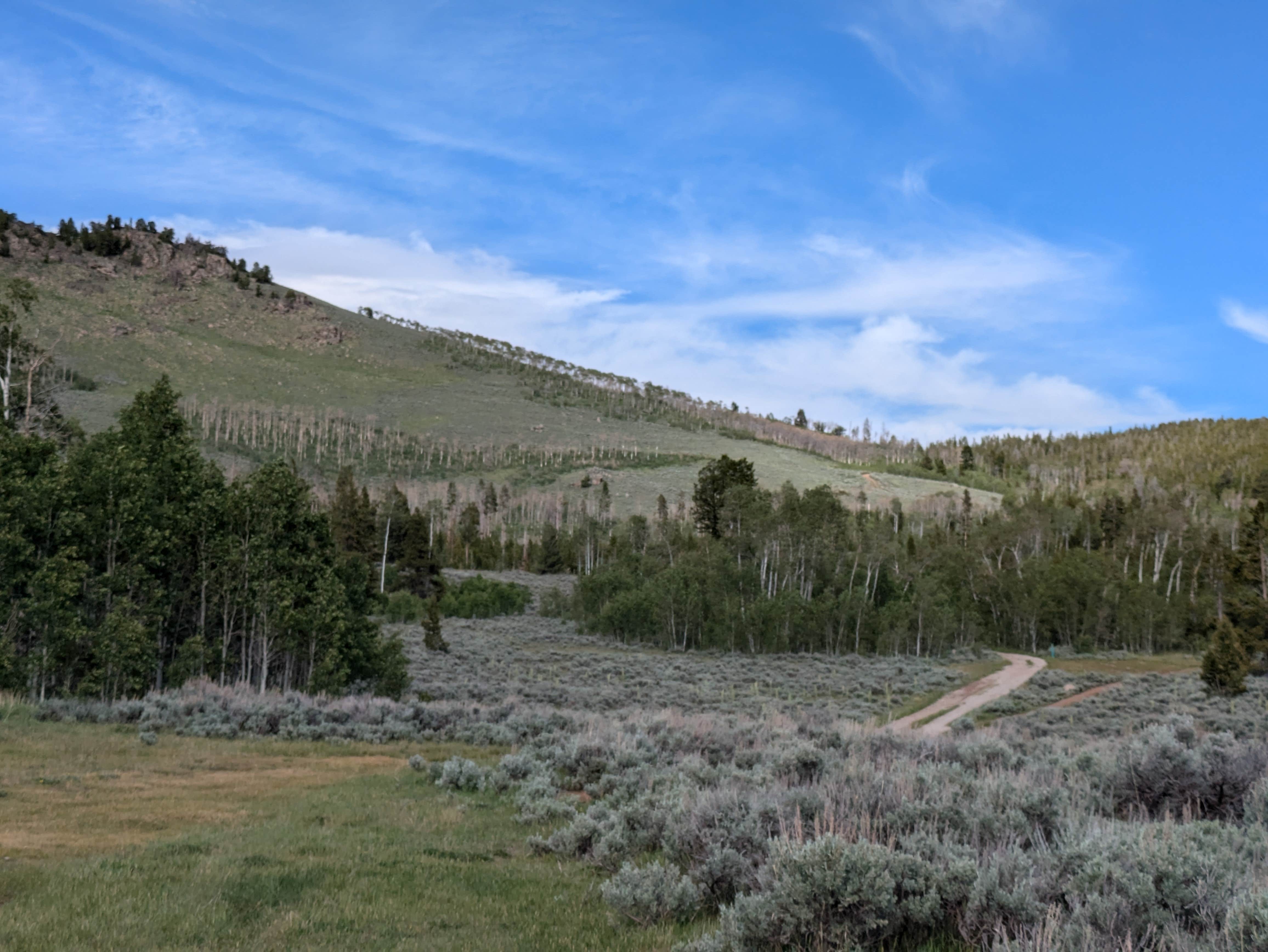 Camper-submitted photo at Kelly Park FS Rd #747 Dispersed Camping near Boulder, WY