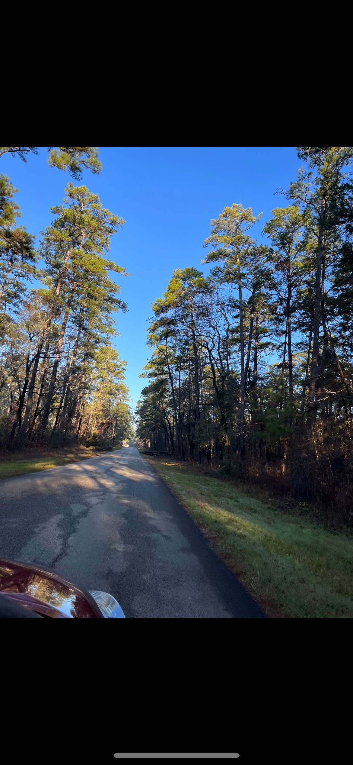 Camper-submitted photo at Kelly's Pond Campground near College Station, TX