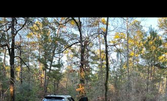 Camping near Lake Houston Wilderness Park: Kelly's Pond Campground, Montgomery, Texas