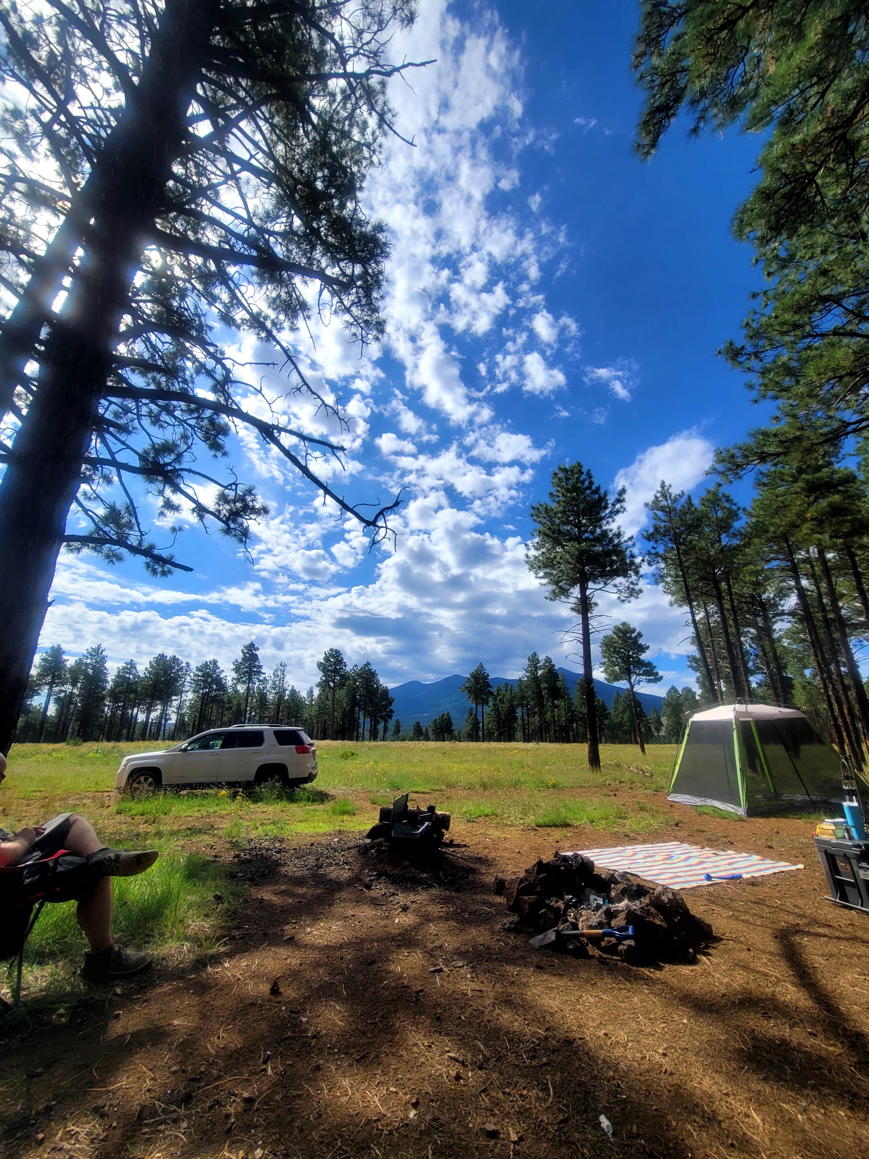 genise Z.'s photo of a dispersed camping area at Kelly Tank Dispersed Camping near Parks, AZ