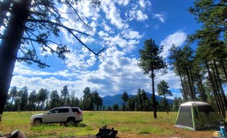 genise Z.'s photo of a dispersed camping area at Kelly Tank Dispersed Camping near Cameron, AZ