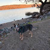Review photo of Kelsey Creek Campground — Clear Lake State Park by Ashley D., December 2, 2025