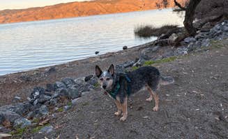 Ashley D.'s photo of camping with pets at Kelsey Creek Campground — Clear Lake State Park near Potter Valley, CA