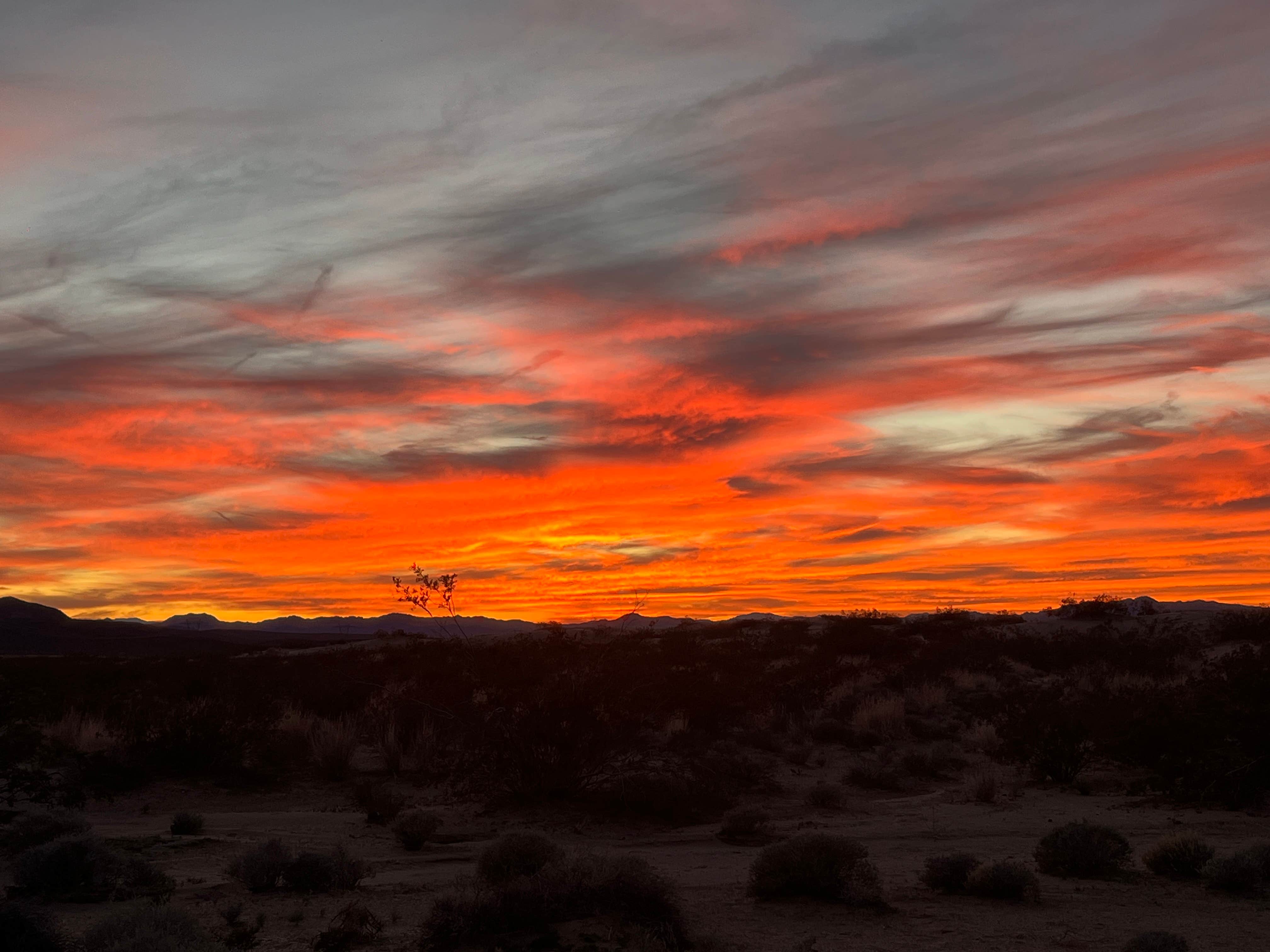 Curious Compass B.'s photo of a dispersed camping area at Kelso Dunes Dispersed — Mojave National Preserve near Mojave National Preserve