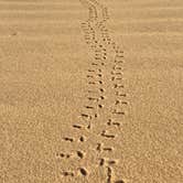 Review photo of Kelso Dunes Dispersed — Mojave National Preserve by Robert K., November 8, 2023