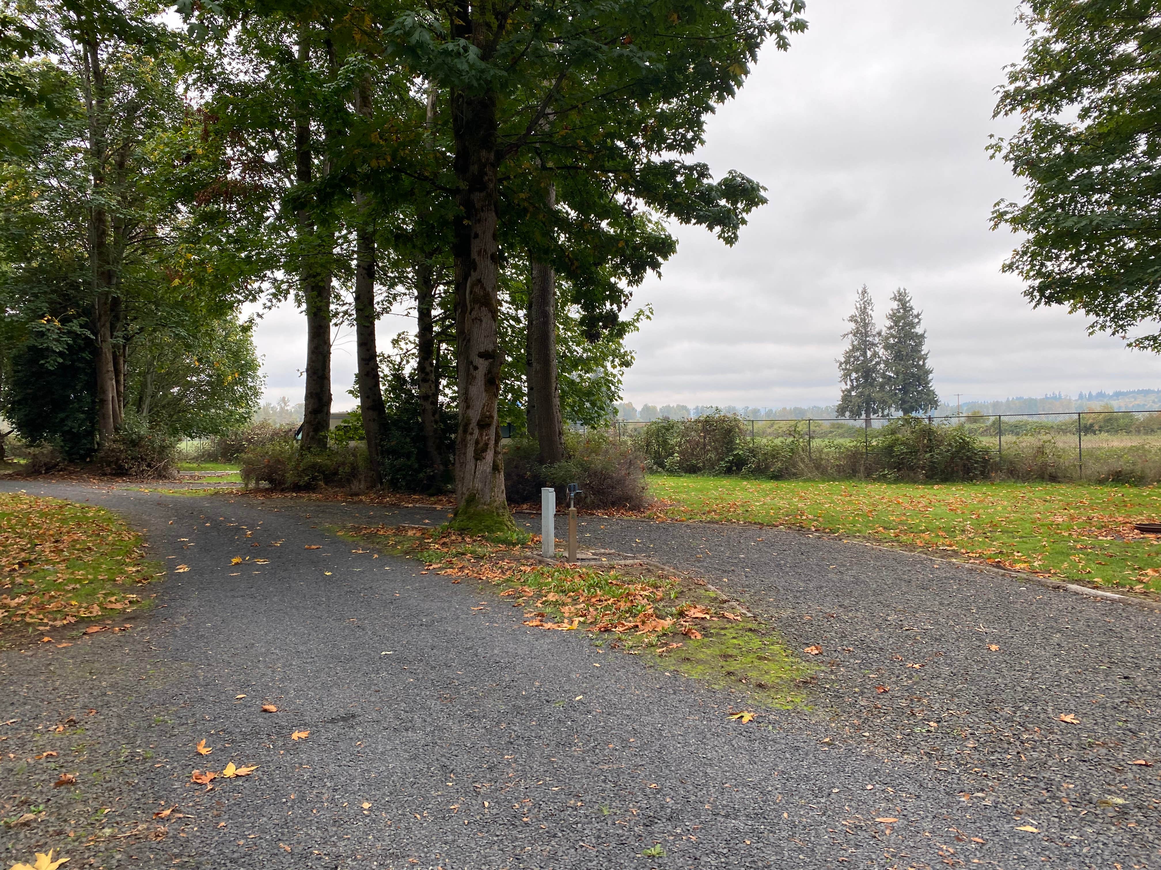 Camper-submitted photo at Kemp Olson Memorial Park near Toledo, WA