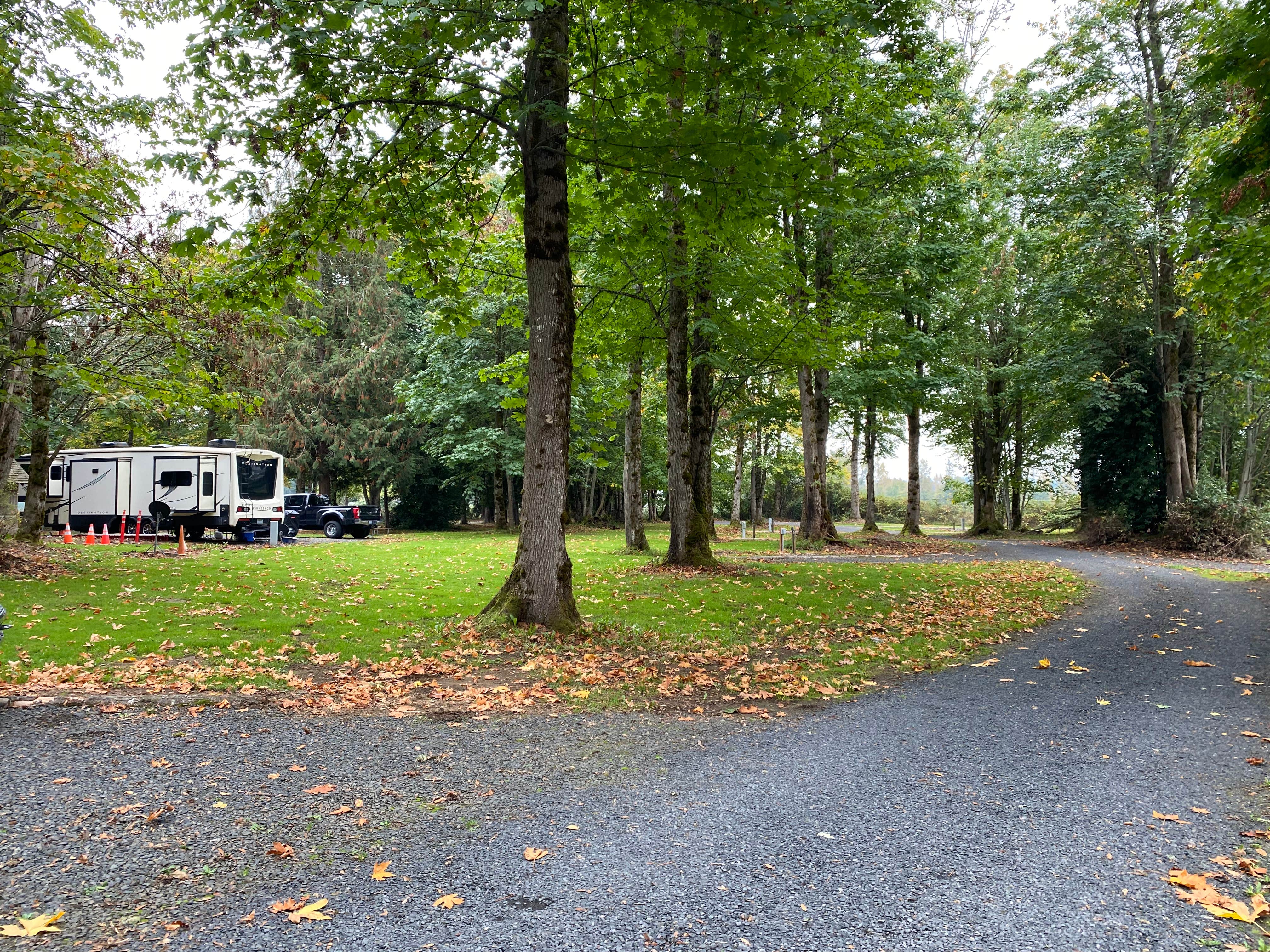 Camper-submitted photo at Kemp Olson Memorial Park near Toledo, WA