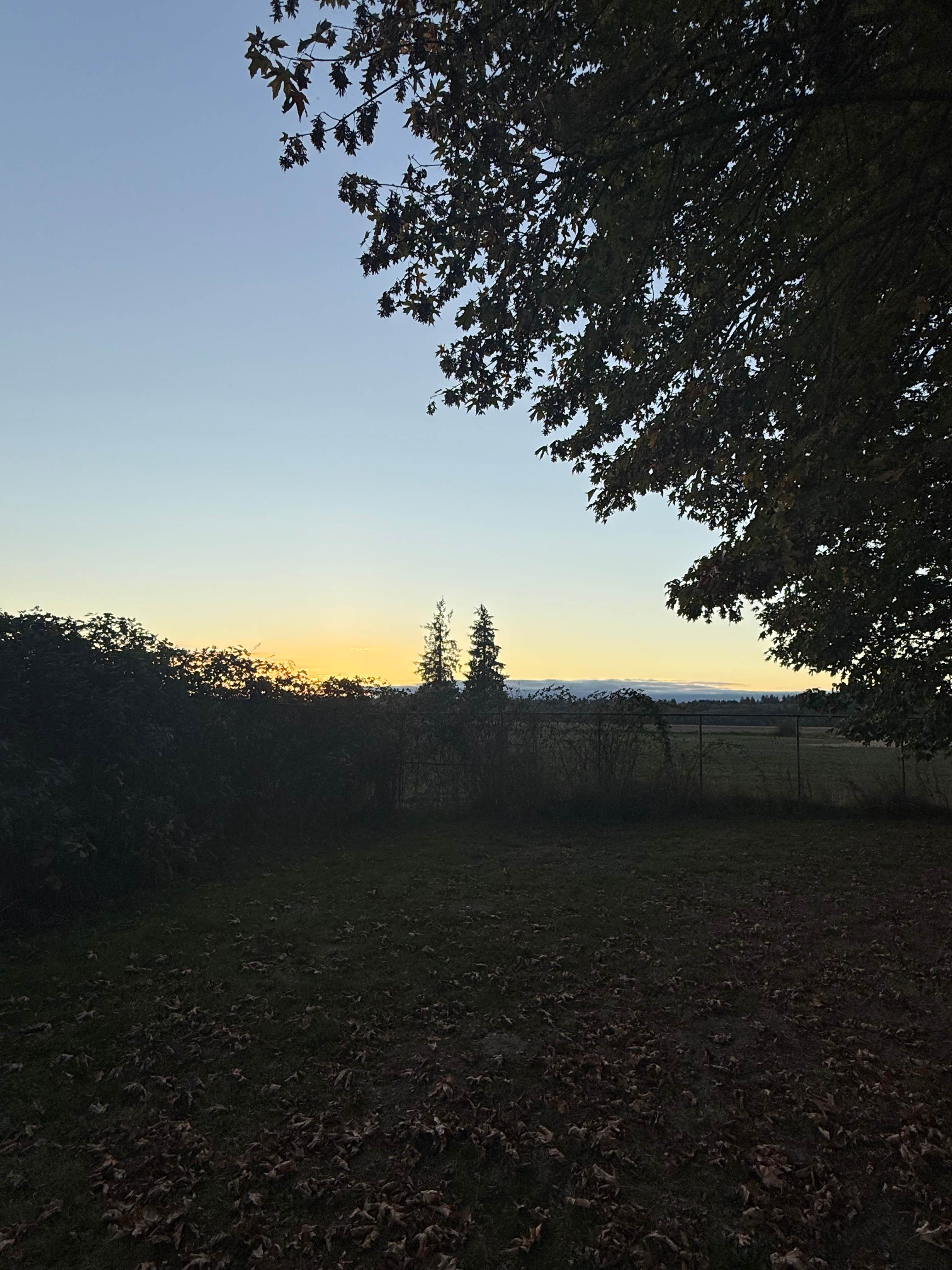 Camper-submitted photo at Kemp Olson Memorial Park near Toledo, WA