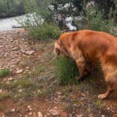 Review photo of Kendall Campground by Ryan R., June 26, 2026