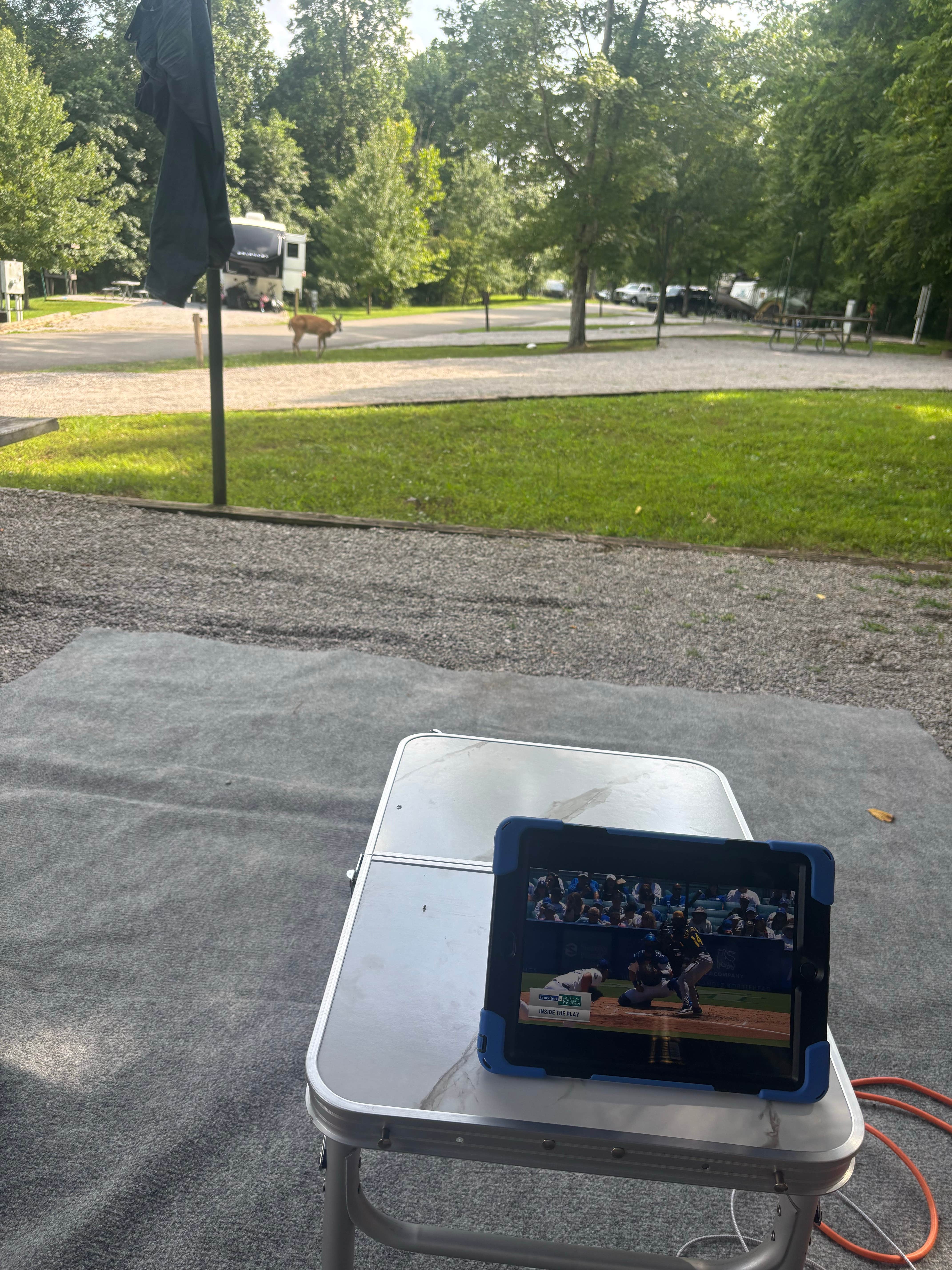 Paul M.'s photo of camping with pets at Kendall Campground near Byrdstown, TN