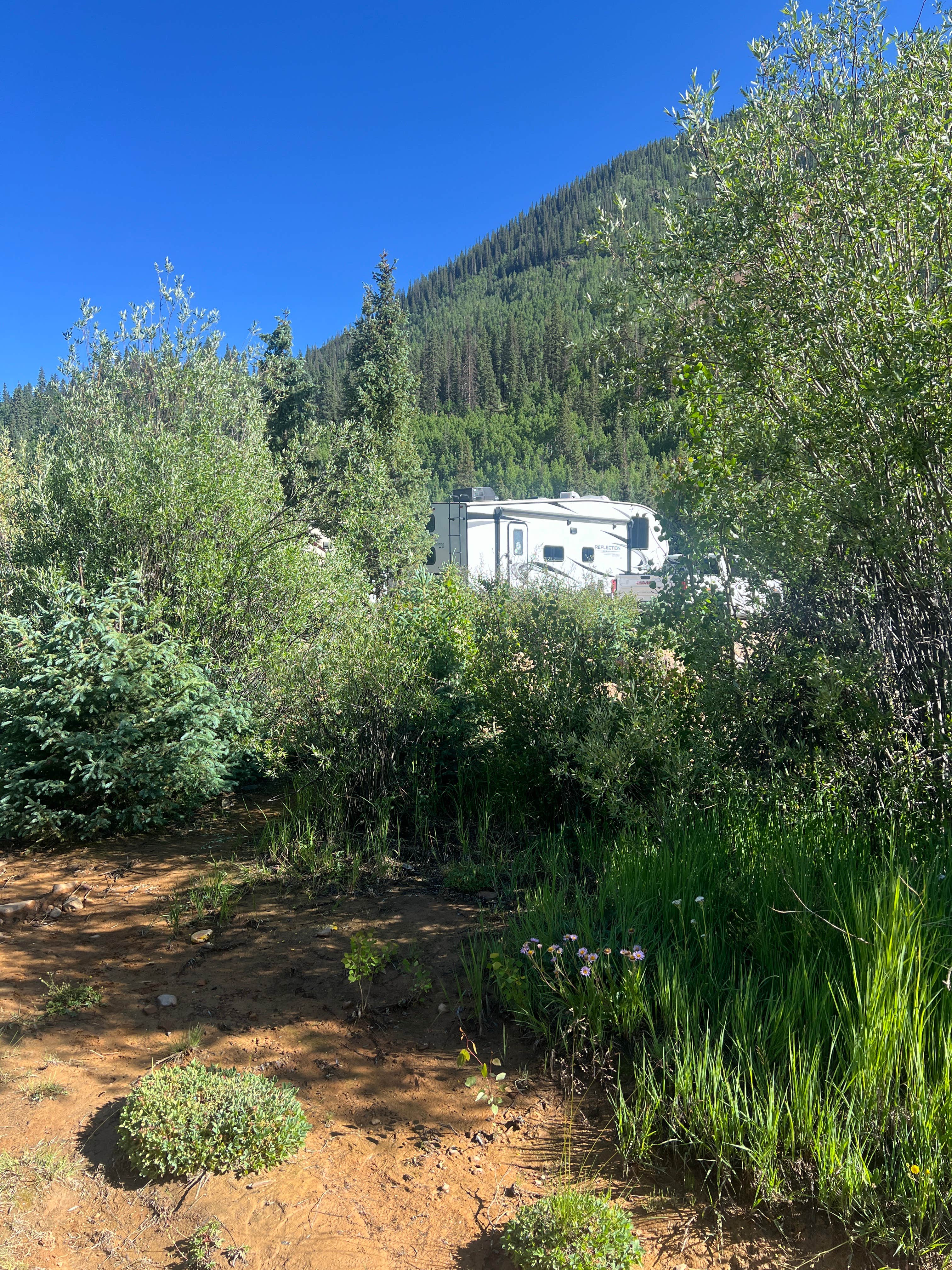 Camper-submitted photo at Kendall Camping Area near Telluride, CO