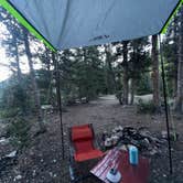 Review photo of Kendall Camping Area by Lauren K., October 6, 2023