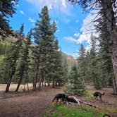 Review photo of Kendall Camping Area by Don R., September 15, 2026