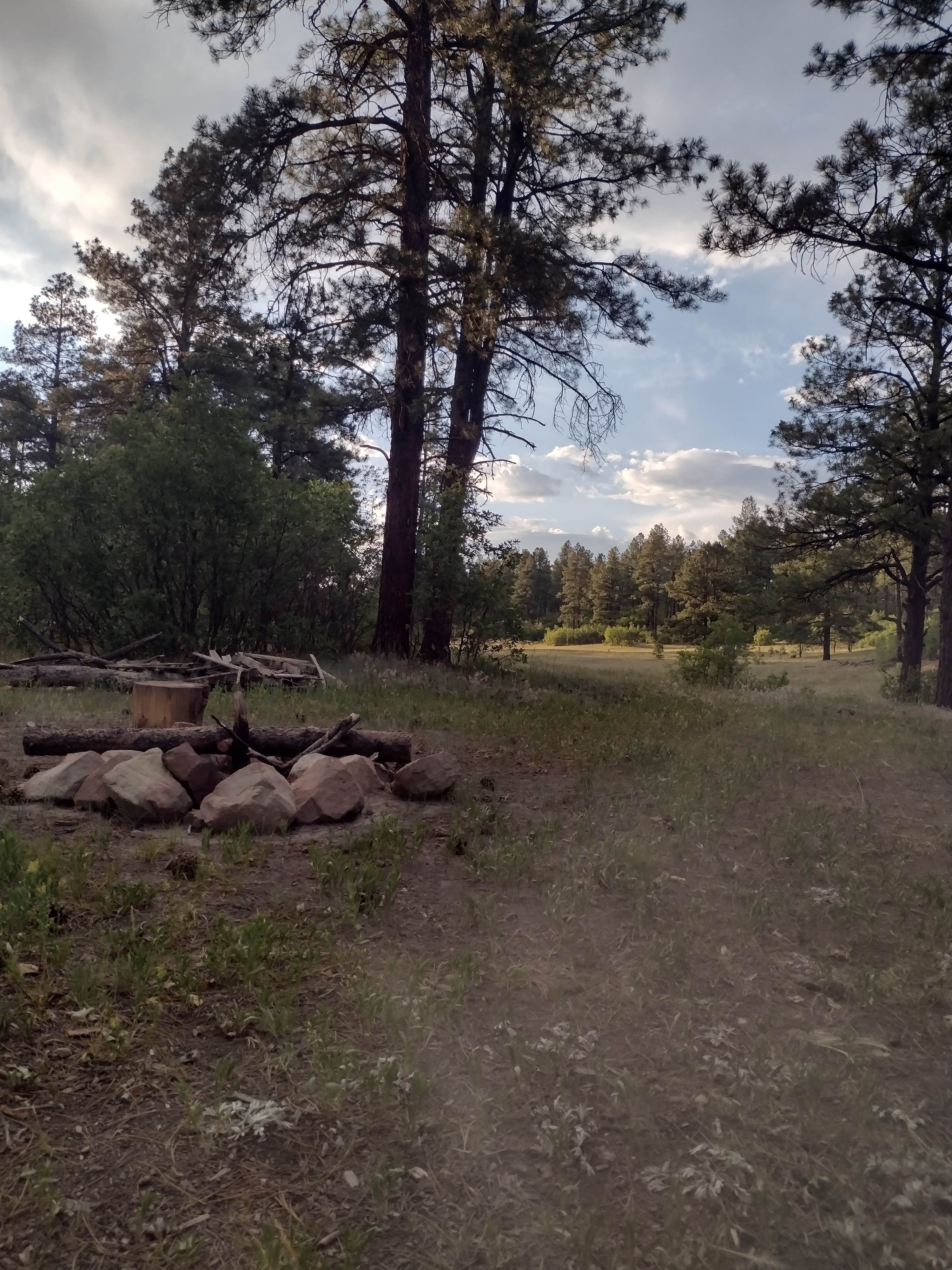 Camping near Fawn Gulch Rd. Dispersed Camping: Kenny Flats Dispersed Camping, Chromo, Colorado
