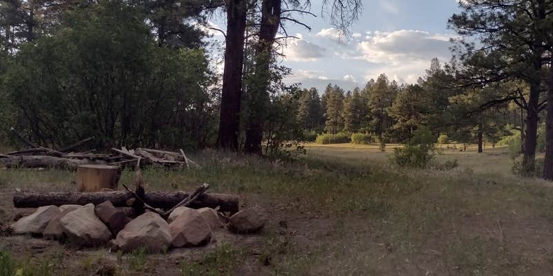 Camper submitted image from Kenny Flats Dispersed Camping