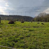 Review photo of Big Bone Lick State Historic Site Campground by Cassandra H., April 9, 2026