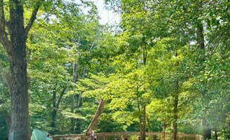 L&A C.'s photo at Ridgeline Campground — Cumberland Falls State Resort Park near Strunk, KY