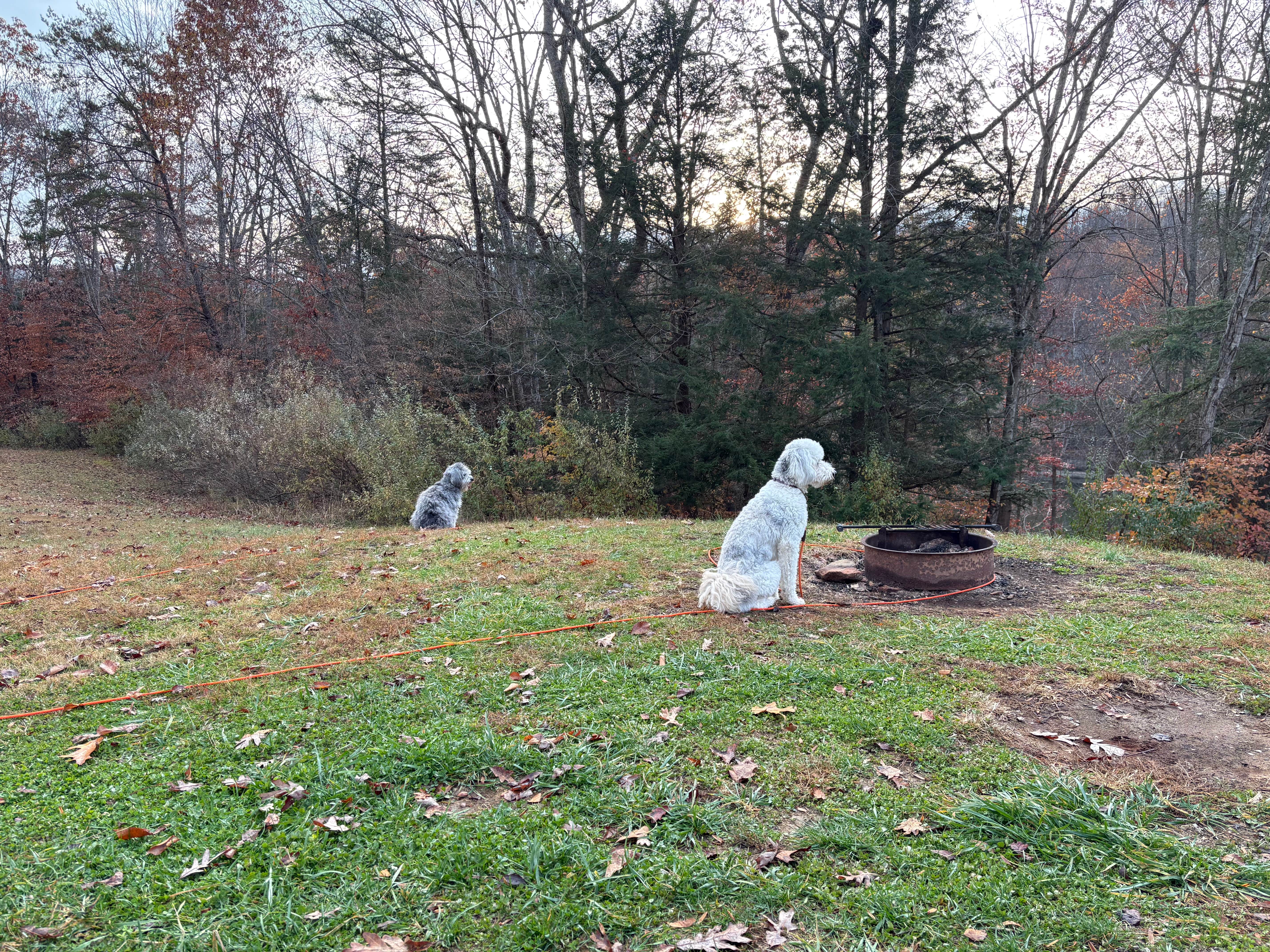 Todd C.'s photo of camping with pets at Grayson Lake State Park Campground near Huntington, WV