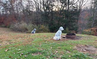 Todd C.'s photo of camping with pets at Grayson Lake State Park Campground near Hanging Rock, OH