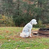 Review photo of Grayson Lake State Park Campground by Todd C., November 15, 2025