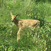 Review photo of Greenbo Lake State Resort Park by Christopher M., August 19, 2026