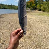Review photo of Hillman Ferry Campground by SkywaystoHighways.com Y., September 29, 2025