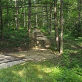 Review photo of Koomer Ridge Campground — Daniel Boone National Forest by Katrin M., June 23, 2024