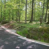 Review photo of Koomer Ridge Campground — Daniel Boone National Forest by Lucy P., May 6, 2024