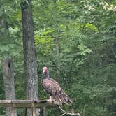 Review photo of Lake Cumberland State Resort Park by Lindsay V., August 4, 2026