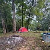 Review photo of Lake Cumberland State Resort Park by Lindsay V., August 4, 2026