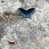 Review photo of Lake Malone State Park Campground by Chad M., August 19, 2026