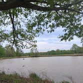 Review photo of Laurel Branch by Alicia Nicole S., July 17, 2026
