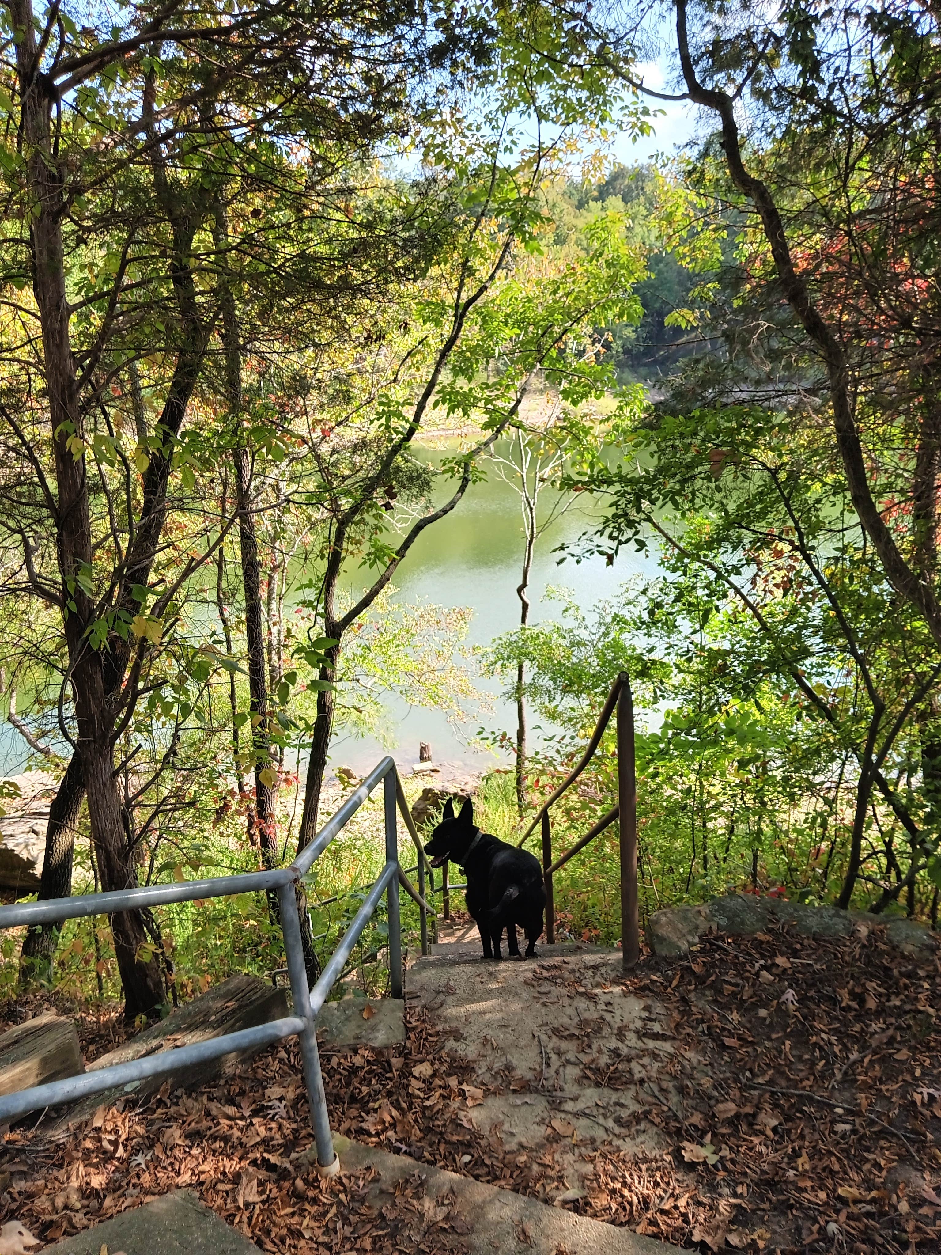 silas S.'s photo of camping with pets at Laurel Branch near Hartford, KY