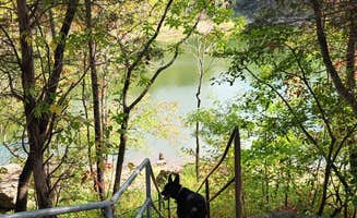 silas S.'s photo of camping with pets at Laurel Branch near Cannelton, IN