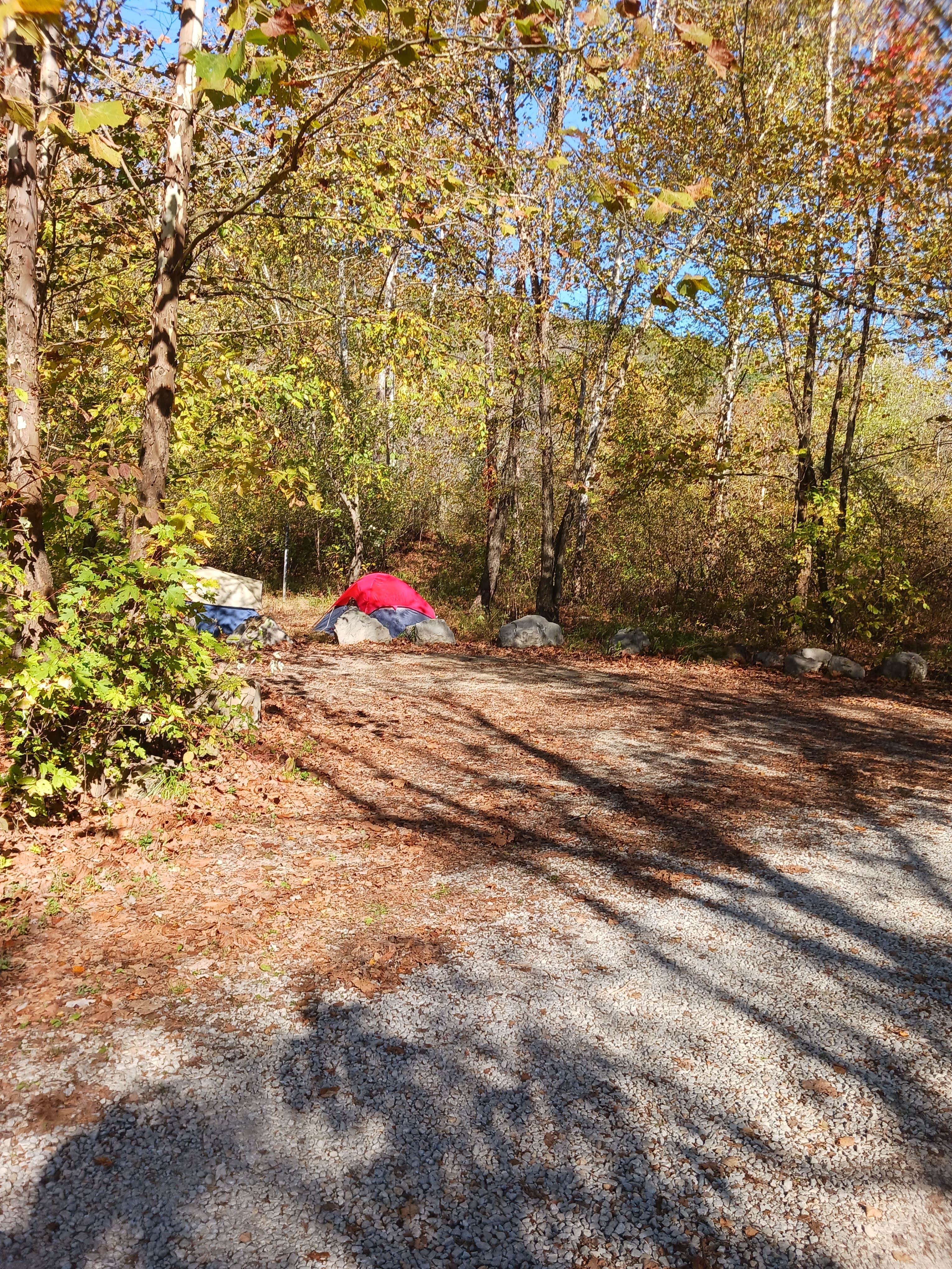 Camper-submitted photo at Paragon Dispersed Camping Area near Sandy Hook, KY