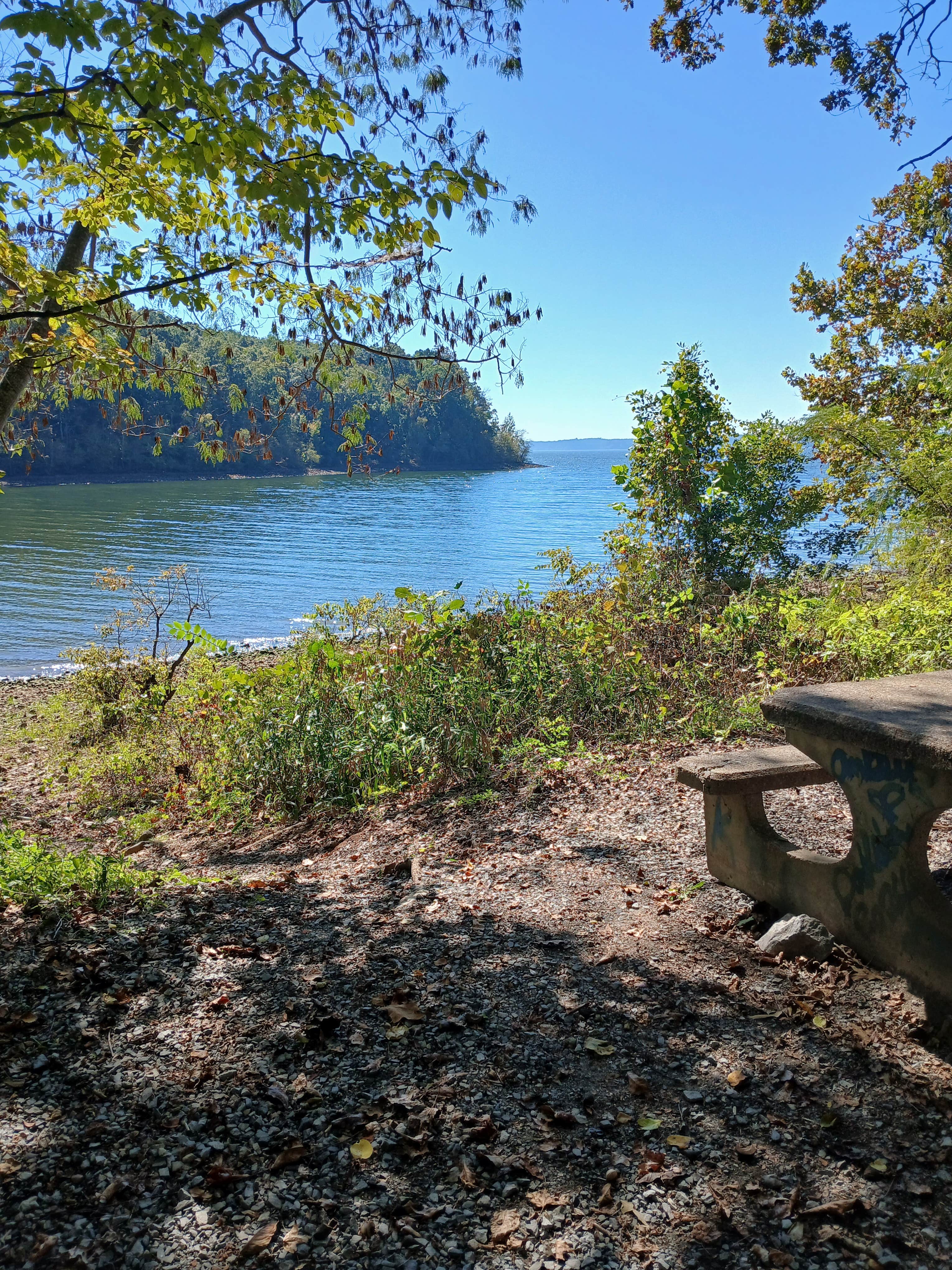 Camper-submitted photo at Redd Hollow near Bumpus Mills, TN