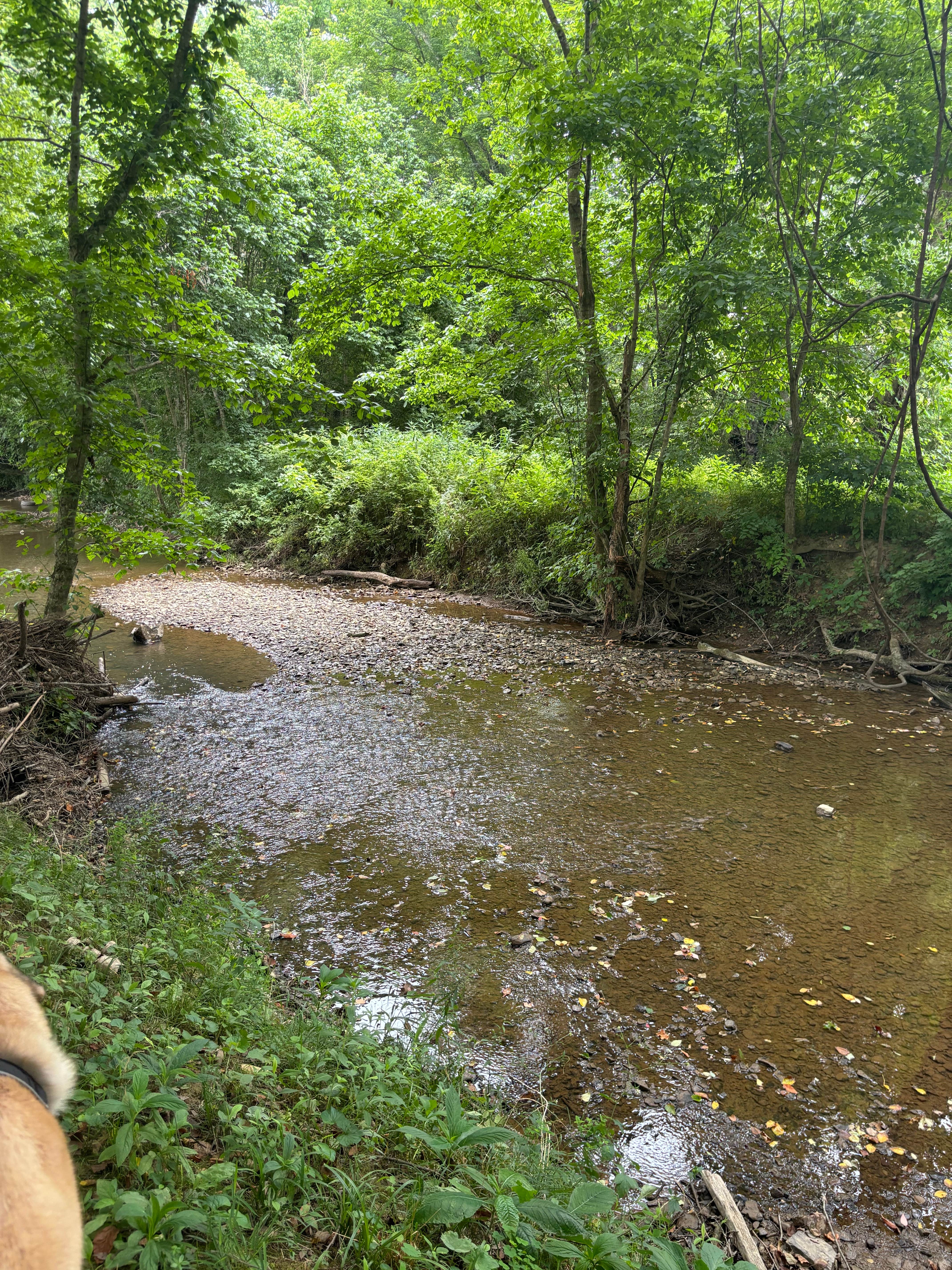 Camper-submitted photo at Kentucky Splash Waterpark & Campground near Williamsburg, KY