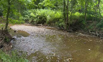 L&A C.'s photo of camping with pets at Kentucky Splash Waterpark & Campground near Laurel River Lake