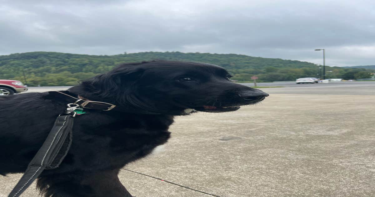 Kentucky Splash Waterpark & Campground Williamsburg, KY