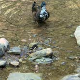 Review photo of Turkey Foot Campground by Braeden M., June 20, 2026