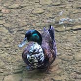 Review photo of Turkey Foot Campground by Braeden M., June 20, 2026
