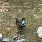Review photo of Turkey Foot Campground by Braeden M., June 20, 2026