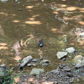 Review photo of Turkey Foot Campground by Braeden M., June 20, 2026
