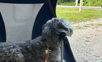 Todd C.'s photo of camping with pets at Yatesville Lake State Park Campground near Hanging Rock, OH