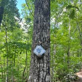 Review photo of Keowee-Toxaway State Park by Amanda F., June 14, 2026
