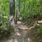 Review photo of Keowee-Toxaway State Park by Amanda F., June 14, 2026
