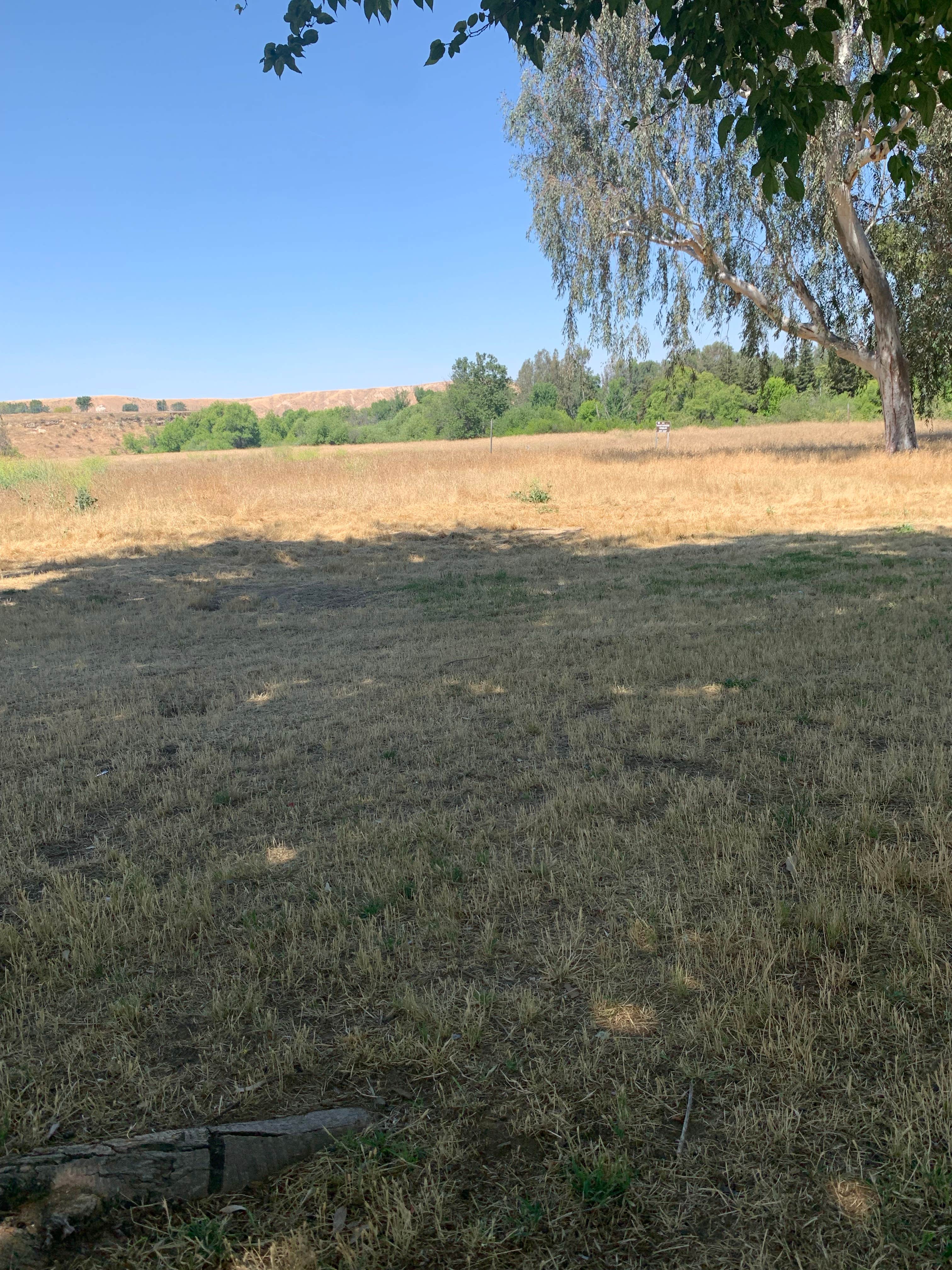 Camper-submitted photo at Kern River Campground near Greenfield, CA