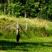 Review photo of Long Lake Campground — Kettle Moraine State Forest-Northern Unit-Iansr by Angie V., August 29, 2024