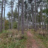 Review photo of Mauthe Lake Campground — Kettle Moraine State Forest-Northern Unit-Iansr by Justin F., October 31, 2025