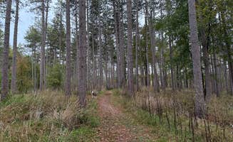 Justin F.'s photo of camping with pets at Mauthe Lake Campground — Kettle Moraine State Forest-Northern Unit-Iansr near Belgium, WI